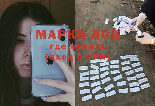 стаф Беломорск