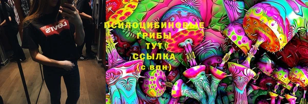стаф Беломорск